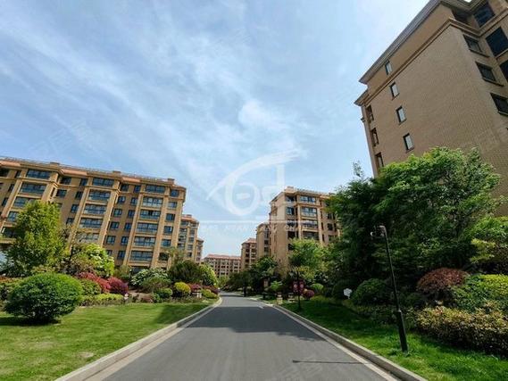 连云港郡望府最新房价