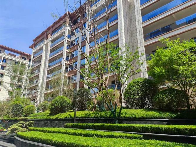 天立凤凰唐城最新消息