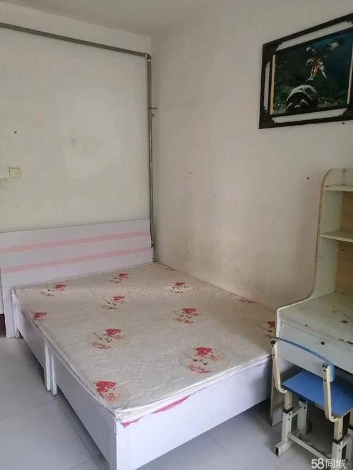 冠县出租房屋最新消息