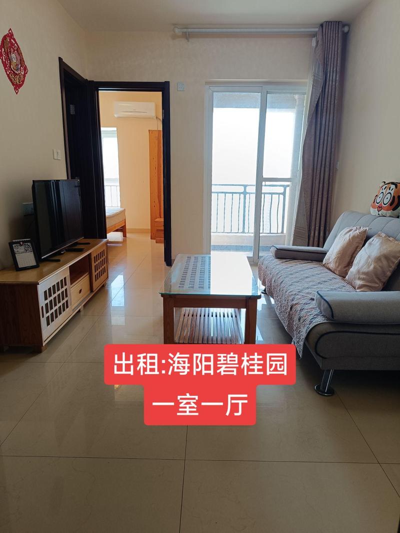 碧桂园十里金滩房价