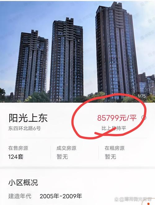 白沙洲菁英城最新消息