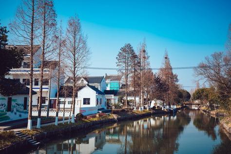 平湖市新仓镇最新消息