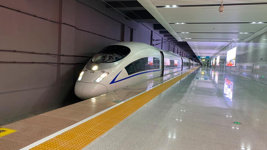 机场东高铁站最新消息