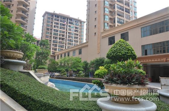 北海中南明珠最新消息