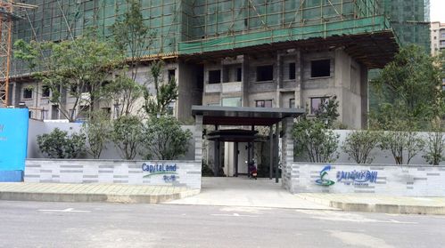 凯德悦湖楼盘最新消息