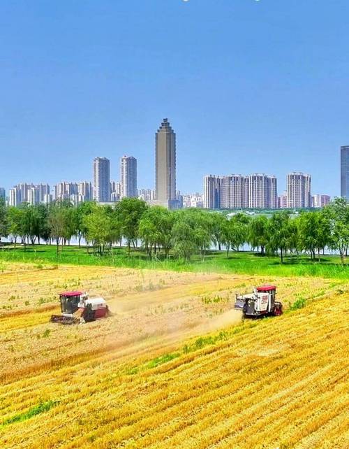 芜湖市二坝镇最新新闻