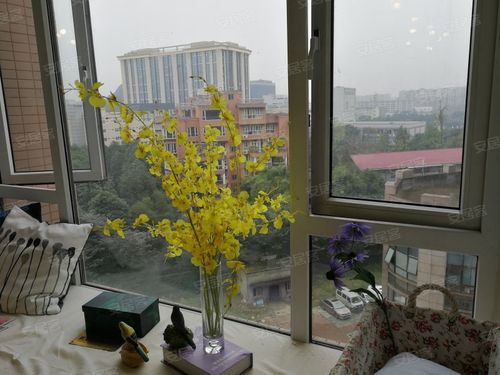 成都世豪嘉柏二手房