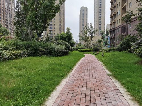 安建九坊世家最新消息