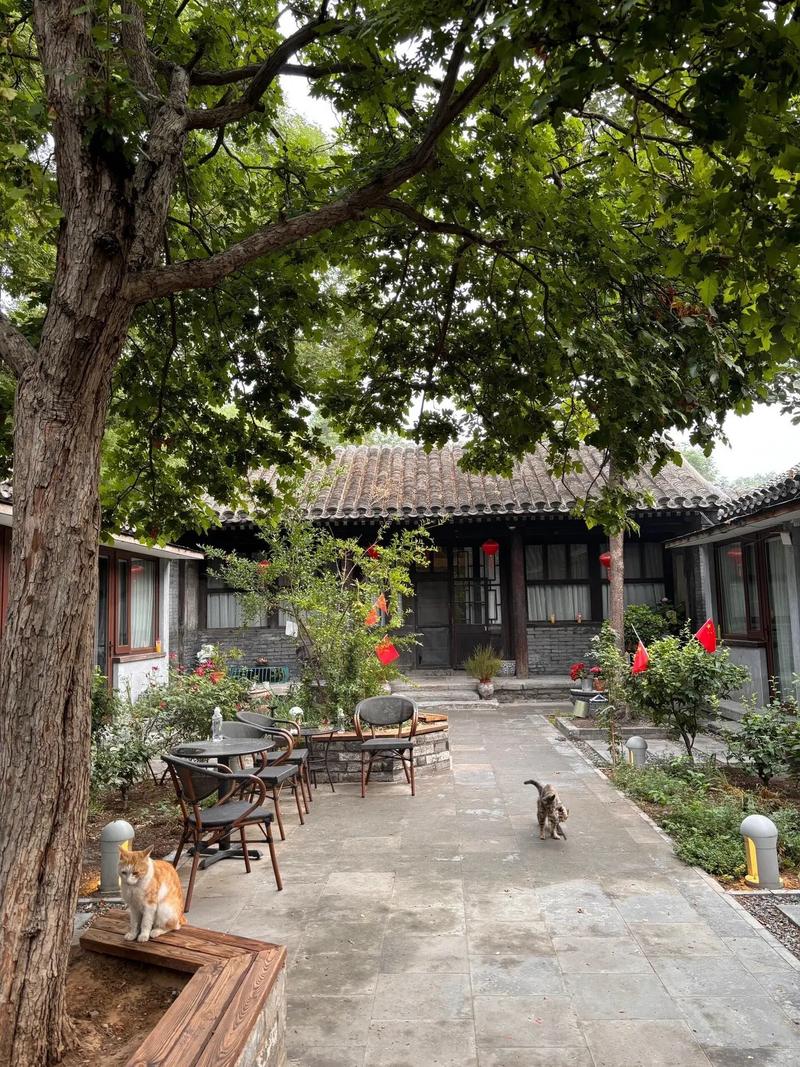 北京四合上院二手房