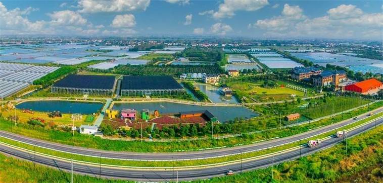 江北新区盘城最新消息