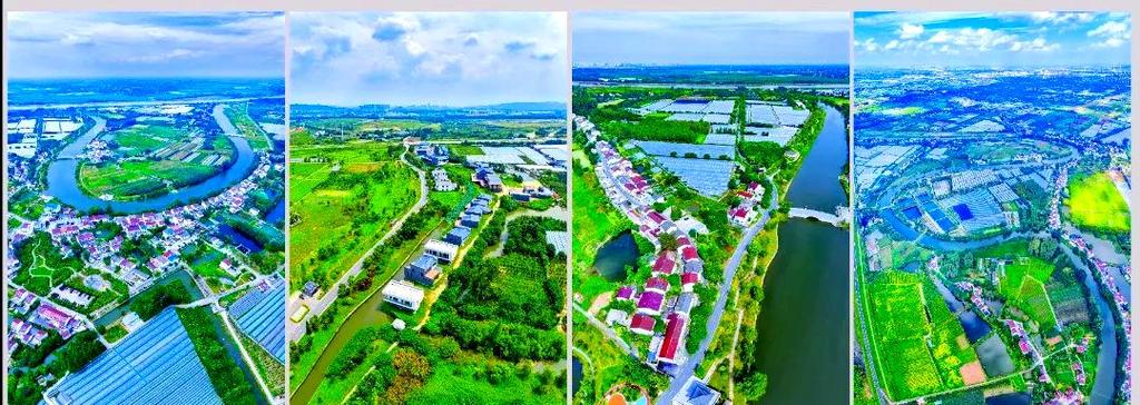 江北新区盘城最新消息