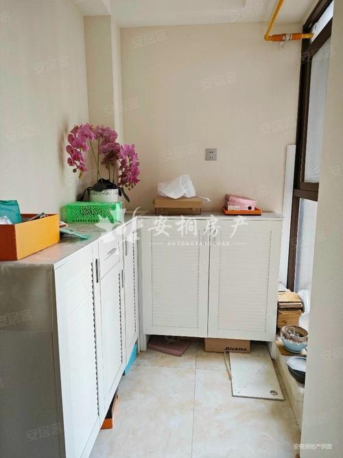 崇州南城锦地二手房