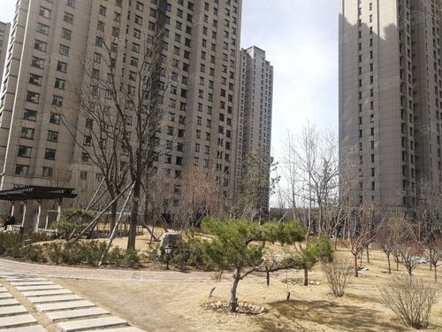 大同御河九号最新消息