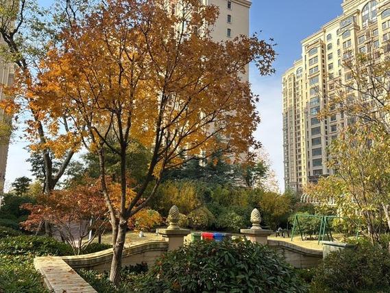 青岛海韵名邦最新消息