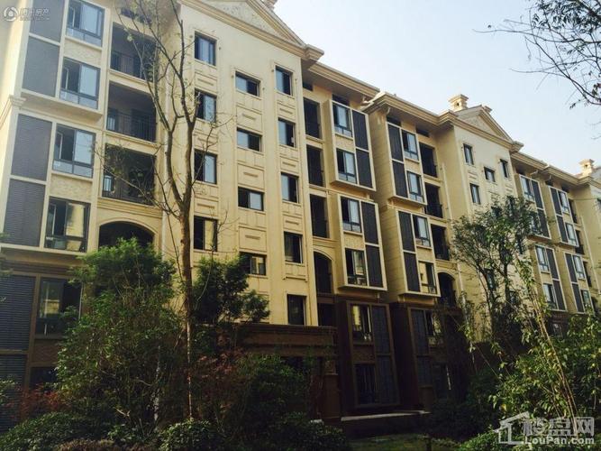 泸州酒城御景最新消息