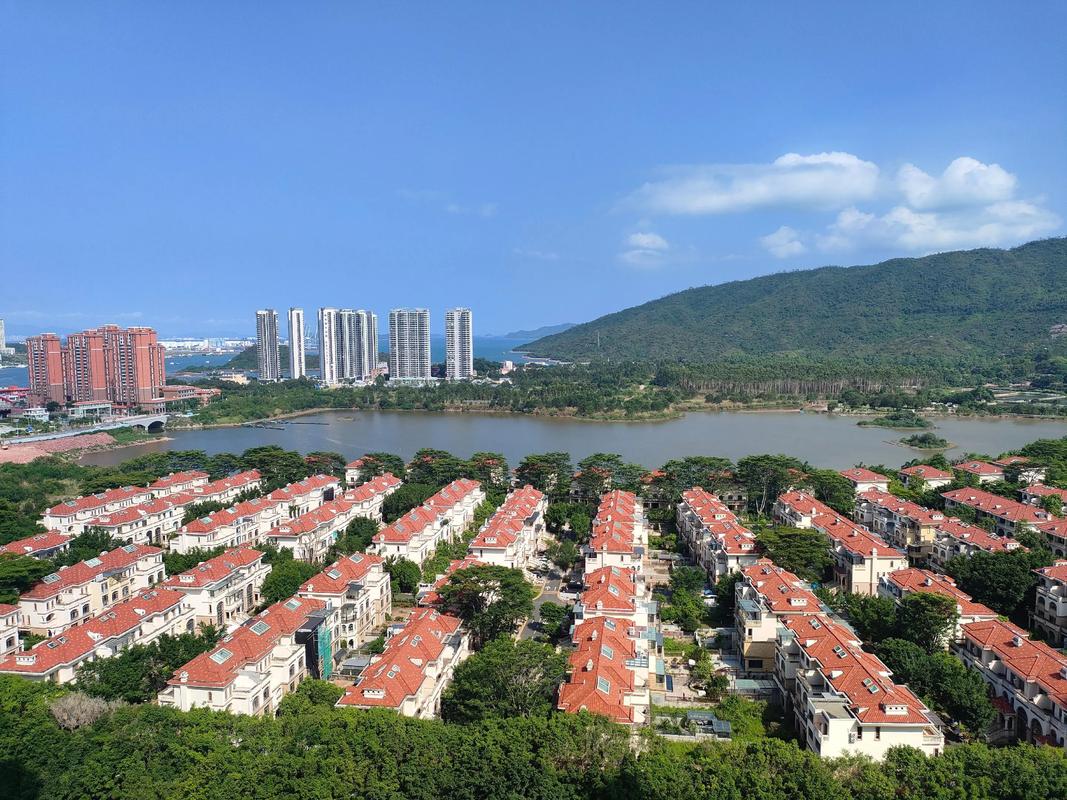 惠州惠阳大亚湾房价
