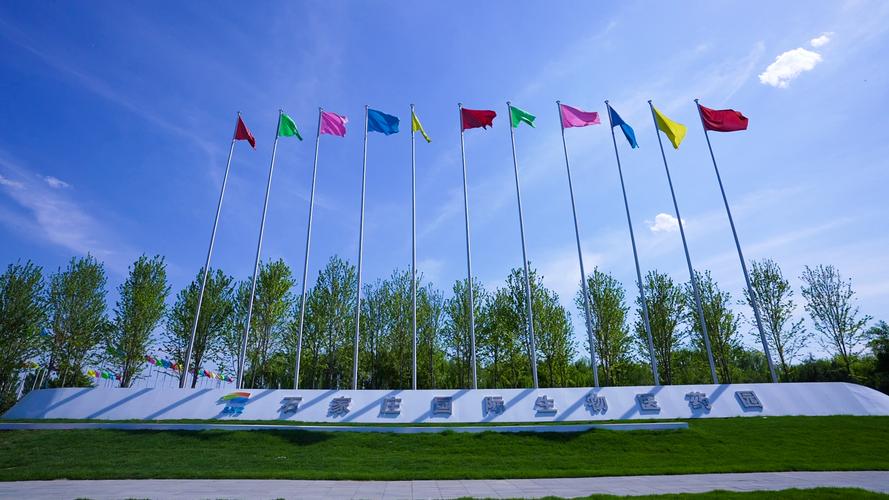 石家庄高新区最新消息