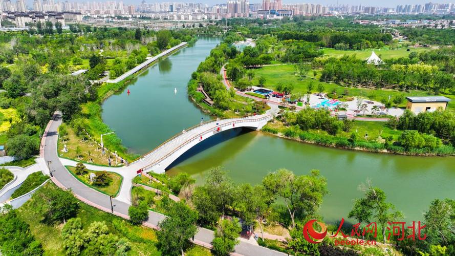 沧州市大运河最新消息