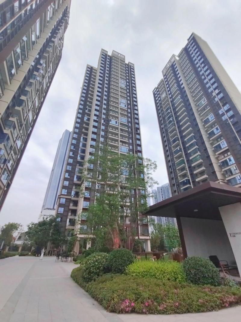 成都锦江区房价多少