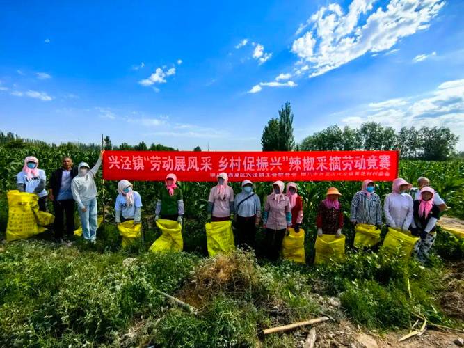 西夏区兴泾镇最新新闻