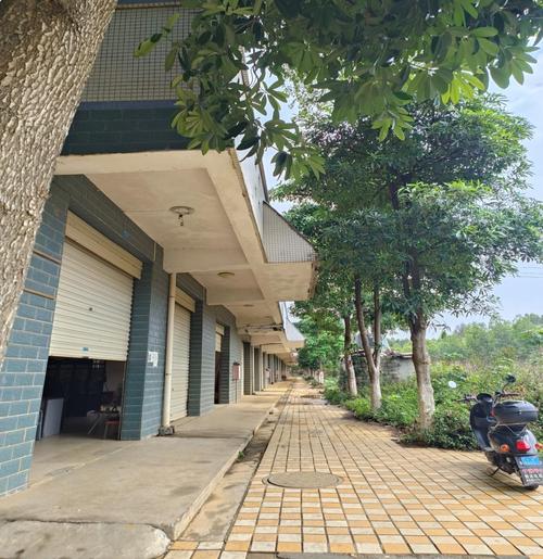 来宾市廉租房最新消息