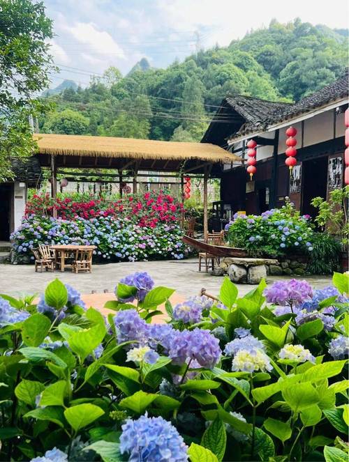 洛宁香泉花园最新进展