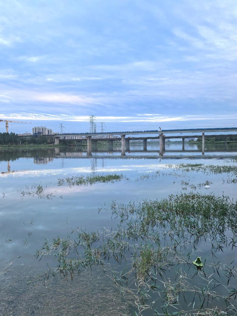 西河西江河畔最新消息