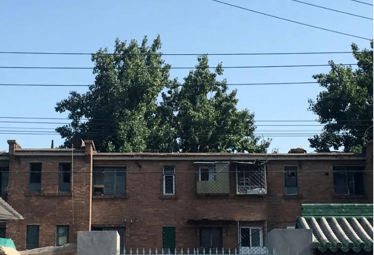 天坛东里腾退最新消息