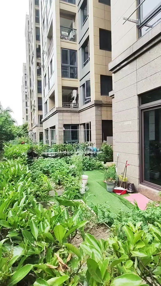 义桥御景蓝湾最新动态