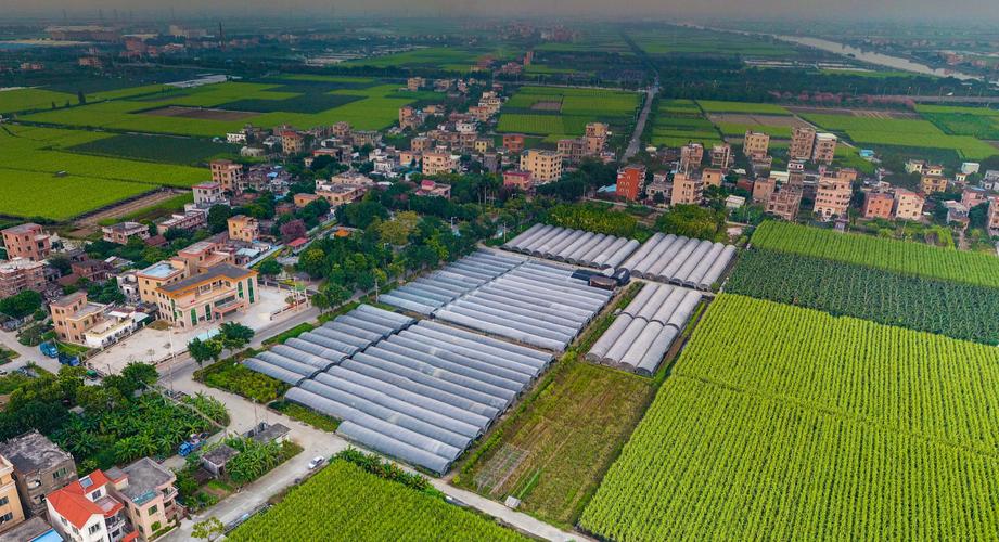 南沙区榄核镇最新情况