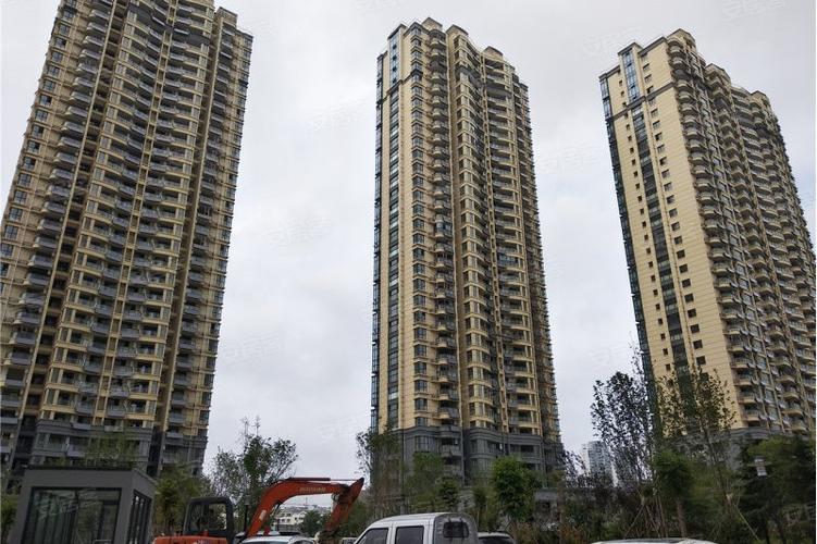 日照中央绿城最新消息