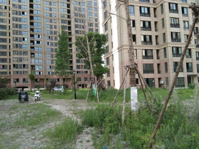 涟水开元名都最新消息