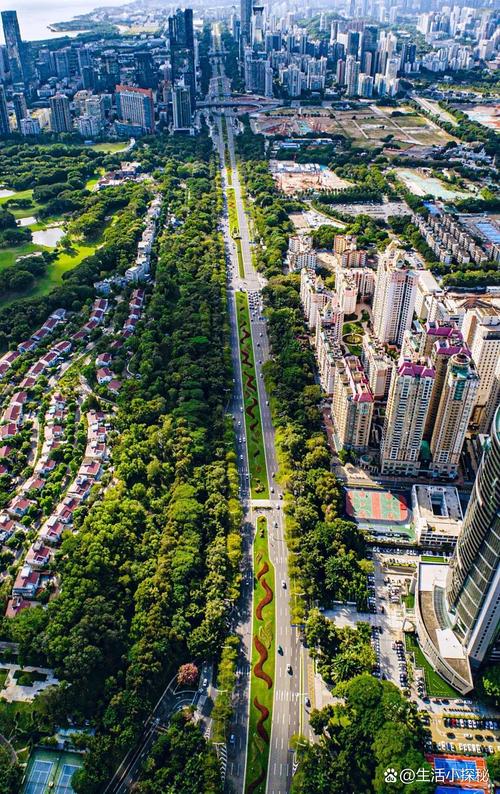 龙海龙江大道最新消息