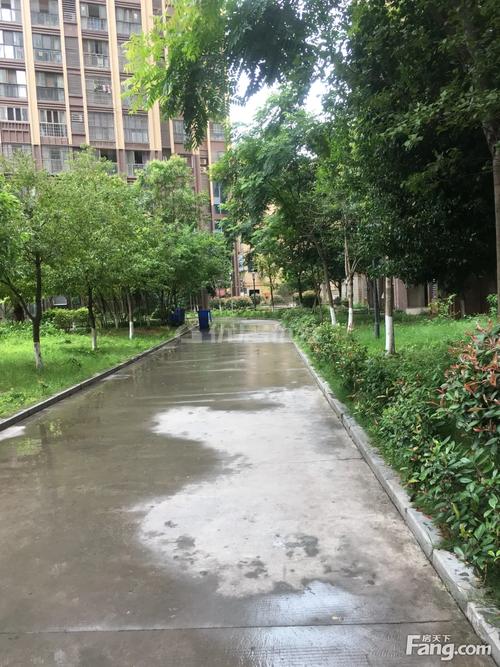 巴中市丰泽园二期最新