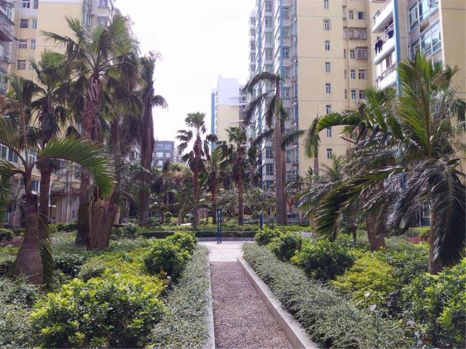 珠海宝地康泰二手房