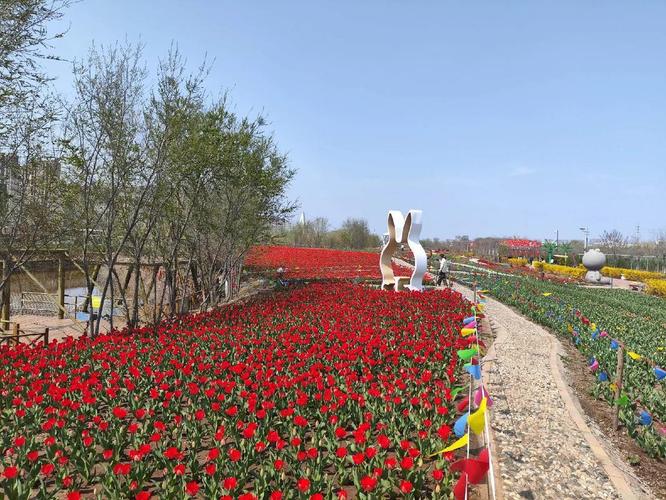 青岛动车小镇最新消息