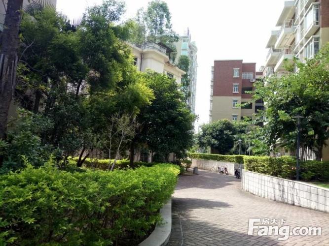 神湾凝星名都最新房价