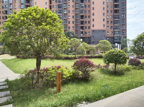 光谷东郡房价是多少