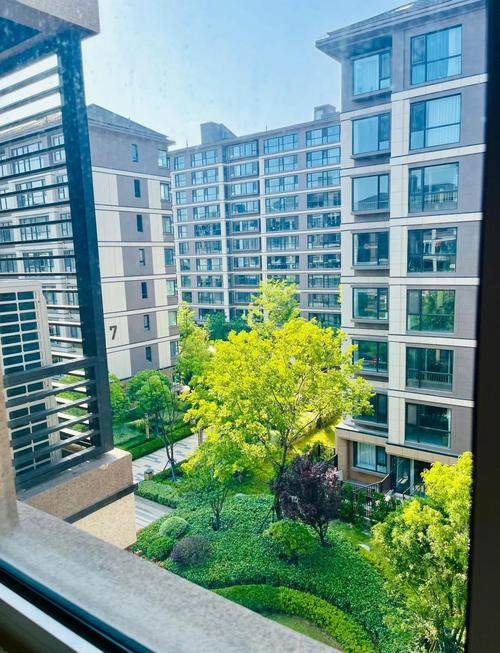 肥西上派最新二手出售