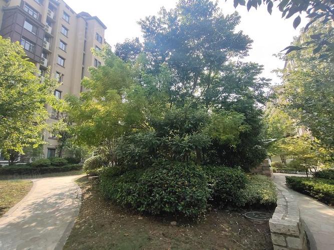 沛县锦园房价最新消息