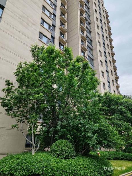 淄博金石绿城二手房