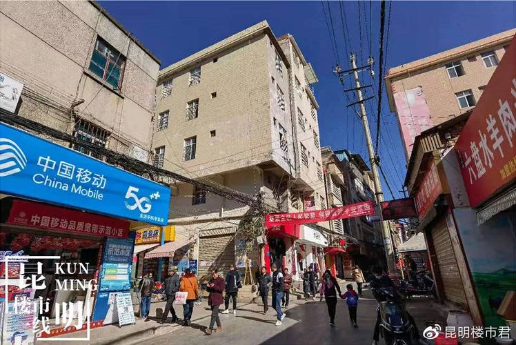 昆明中苜蓿村最新消息