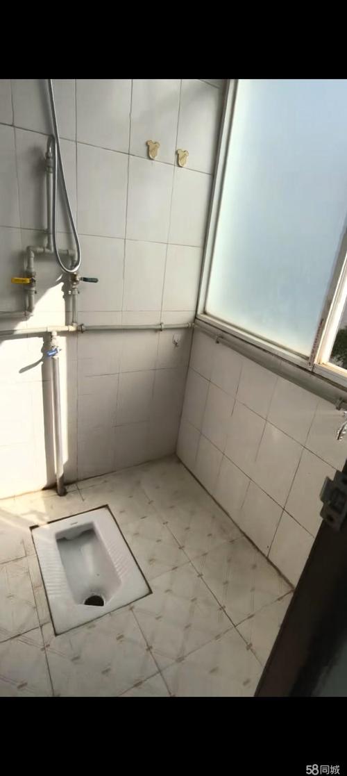 昆明中苜蓿村最新消息