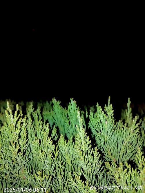 面房买卖中心最新消息