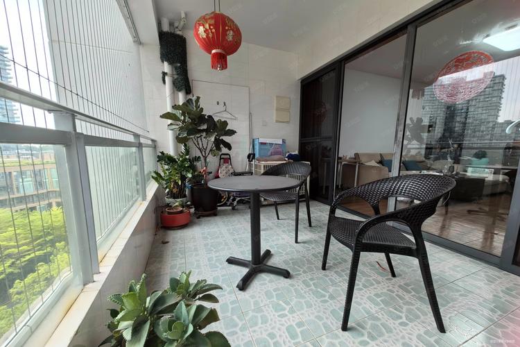 中信红树湾二手房价