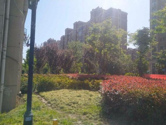 盐城郎地英郡最新房价