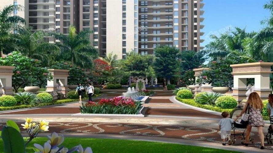 和信经典花园最新消息