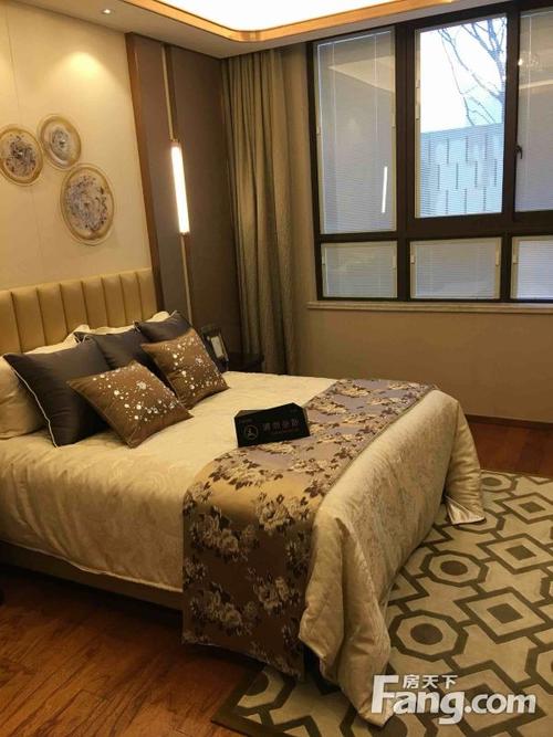 合肥天目未来二手房