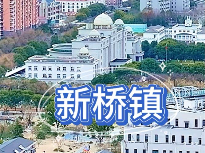 上海松江新桥镇房价