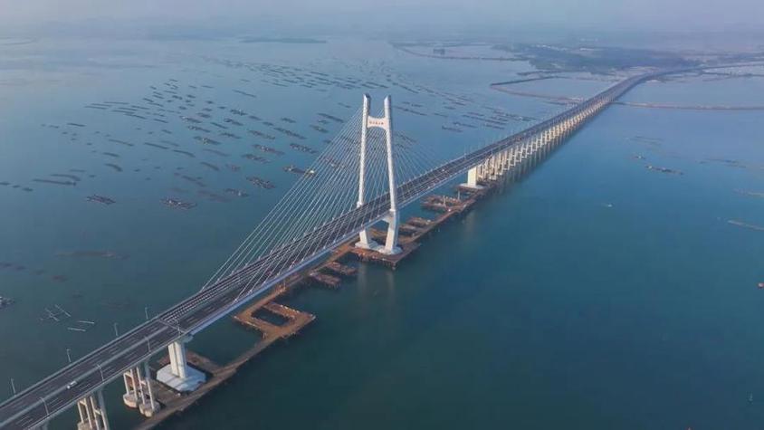 阳江海陵大桥最新消息